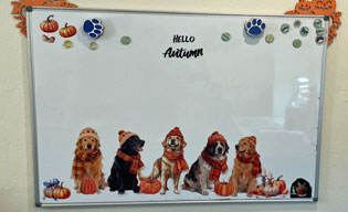 erin powers learning